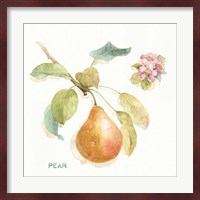 Orchard Bloom II Fine Art Print