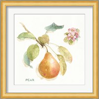 Orchard Bloom II Fine Art Print