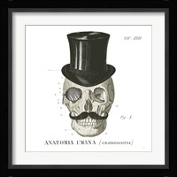 Dandy Bones I Fine Art Print