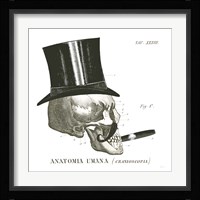 Dandy Bones III Fine Art Print