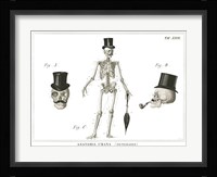 Dandy Bones Fine Art Print