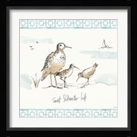 Sandpiper Sea I Framed Print