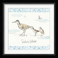 Sandpiper Sea II Framed Print