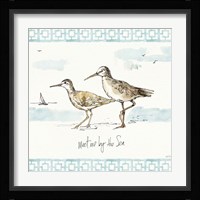 Sandpiper Sea IV Framed Print