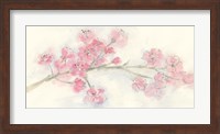 Cherry Blossom I Fine Art Print