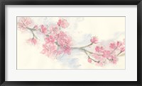 Cherry Blossom II Framed Print