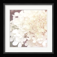 Hydrangea Dream II Fine Art Print
