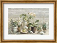 Greenhouse Orchids on Wood Fine Art Print