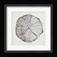 Woodland Years I Fine Art Print