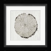 Woodland Years II Fine Art Print