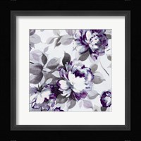 Scent of Roses Plum II Framed Print