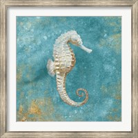 Treasures from the Sea I Aqua Fine Art Print