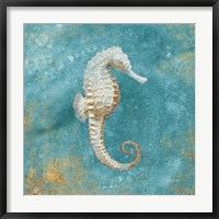 Treasures from the Sea I Aqua Fine Art Print