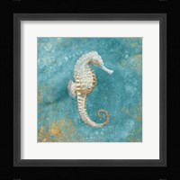 Treasures from the Sea I Aqua Framed Print