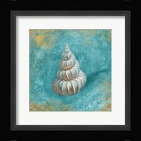 Treasures from the Sea II Aqua Framed Print