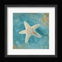 Treasures from the Sea IV Aqua Framed Print