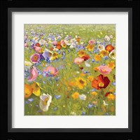 Champ de Fleur I Framed Print