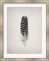 Feather I BW Fine Art Print