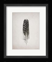 Feather I BW Framed Print