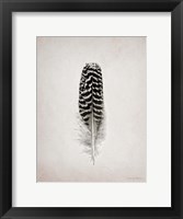 Feather I BW Framed Print