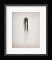 Feather II BW Framed Print