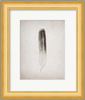 Feather II BW Fine Art Print