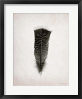 Feather III BW Fine Art Print