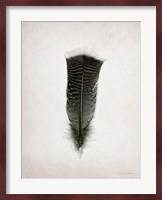 Feather III BW Fine Art Print