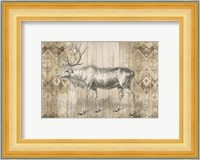 Natural History Lodge IX Fine Art Print