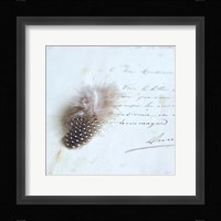 Plume Letters II Framed Print