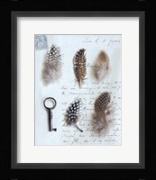 Plume Letters V Fine Art Print
