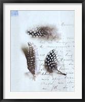 Plume Letters VI Fine Art Print