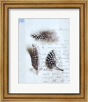 Plume Letters VI Fine Art Print