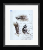 Plume Letters VI Fine Art Print