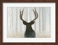 Into the Forest Fine Art Print
