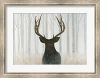 Into the Forest Fine Art Print