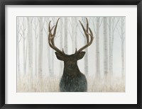 Into the Forest Framed Print