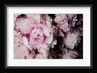 Peonies Galore I Framed Print