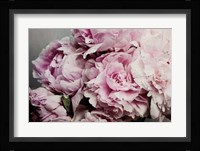 Peonies Galore II Framed Print