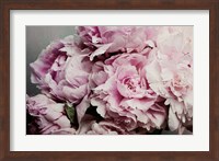 Peonies Galore II Fine Art Print