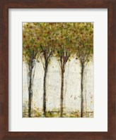 Apple Orchard I Fine Art Print