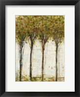 Apple Orchard I Fine Art Print