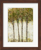 Apple Orchard II Fine Art Print