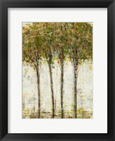 Apple Orchard II Fine Art Print