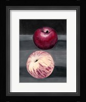 Fruit on Shelf III Framed Print