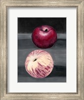 Fruit on Shelf III Fine Art Print