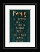 Spice Family Rules III Framed Print