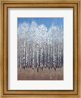 Cobalt Birches I Fine Art Print