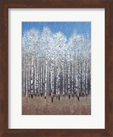 Cobalt Birches I Fine Art Print