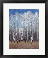 Cobalt Birches II Fine Art Print